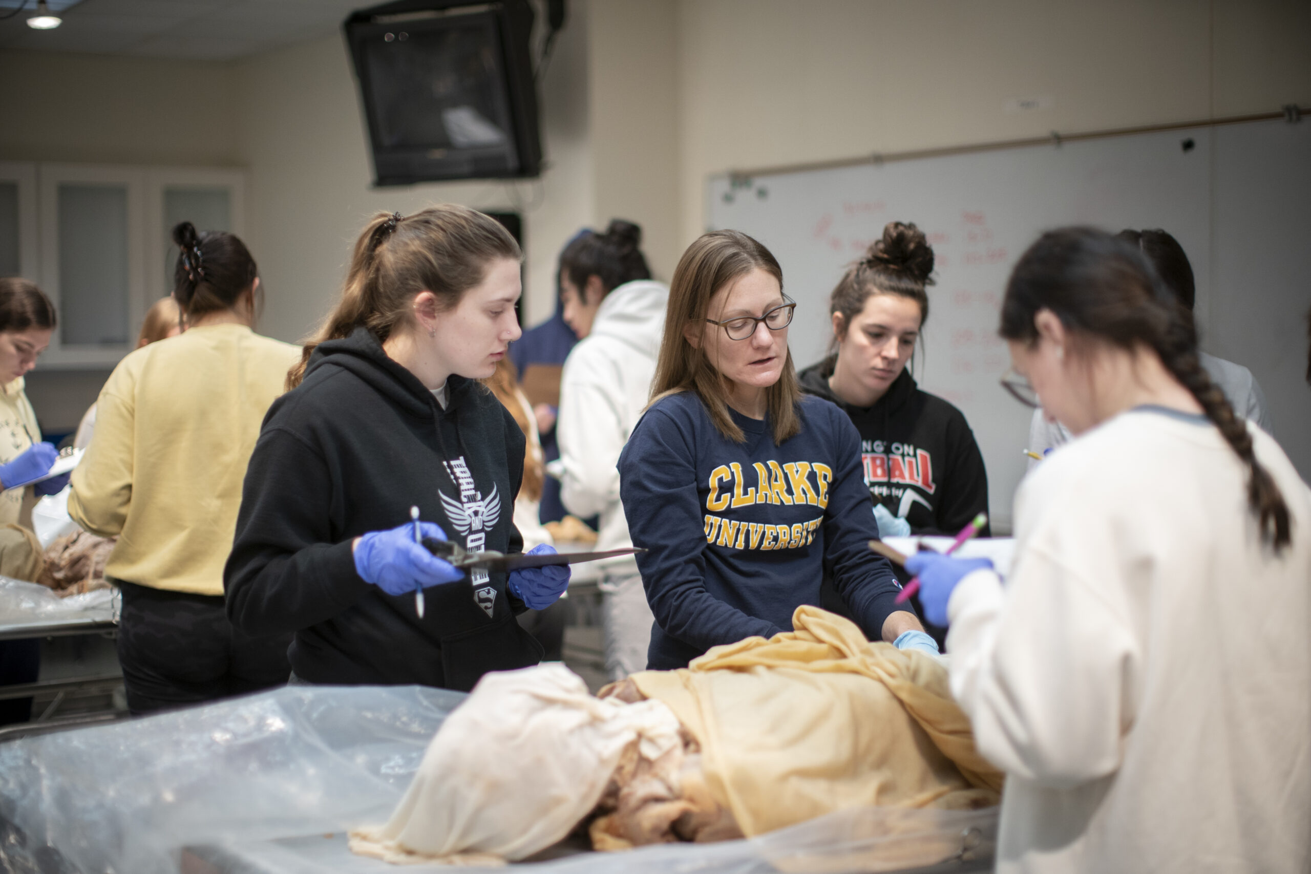 Clarke University Biology Major student at work in classroom setting.