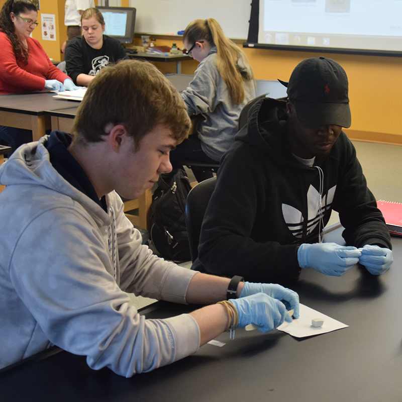 Clarke University Biology Degree Students Studying