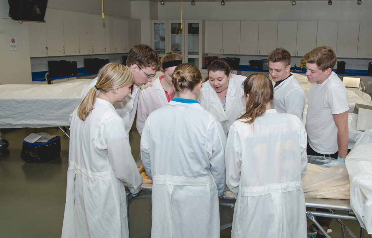Biology Majors in Cadaver Lab-Gross Anatomy Lab - Full Size
