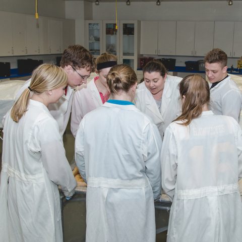 Biology Majors in Cadaver Lab-Gross Anatomy Lab