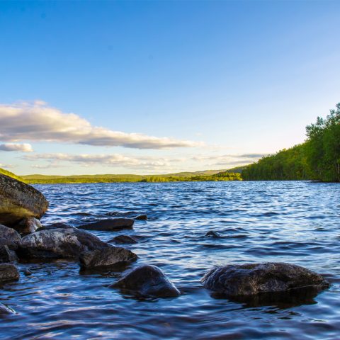 Clarke University Environmental Science Degree students have many career oppoortunities after graduation.