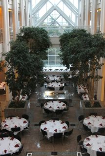 Conference and Events Decorations