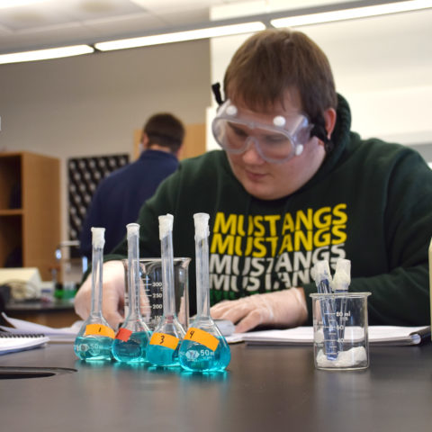 Clarke University Chemistry degree program student