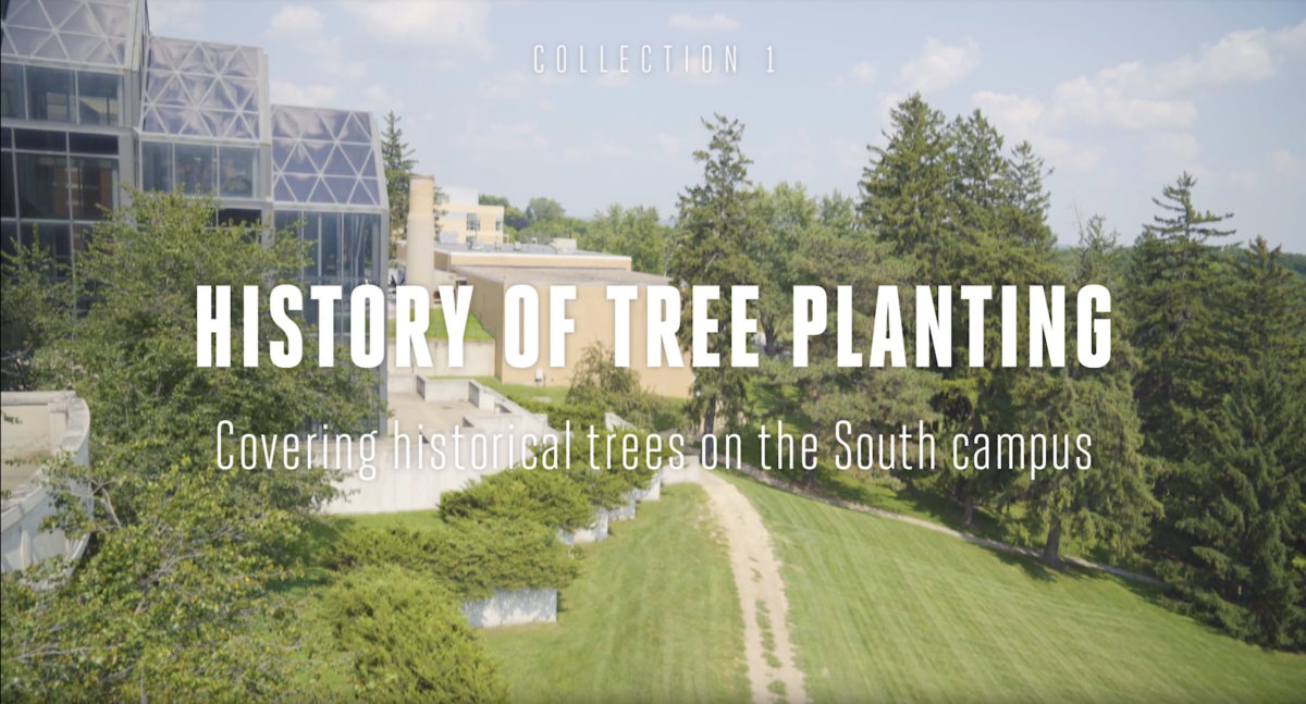 History of Tree Planting Tree Tour