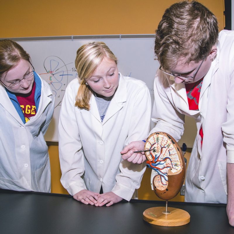 Biology Major Students getting one on one professor instruction