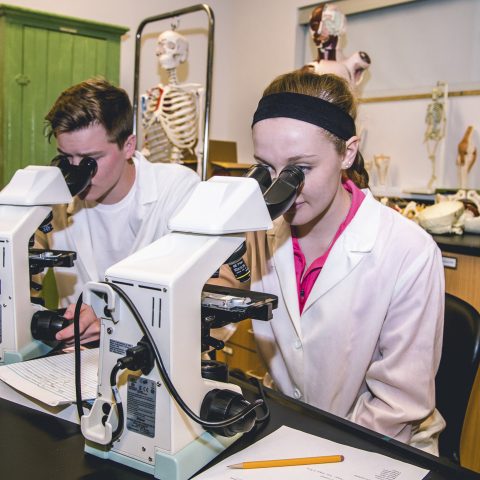 Biology Major Students Engaged in Hands On learning