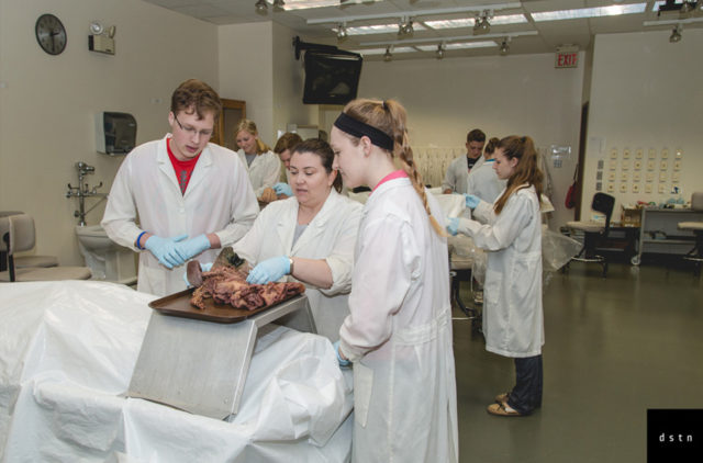 Cadaver Lab