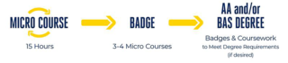 Micro Course Badge Options