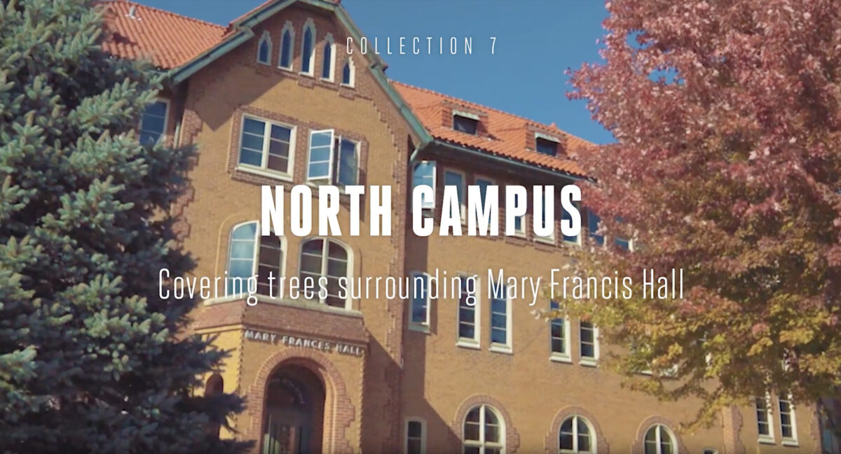 North Campus Tree Tour