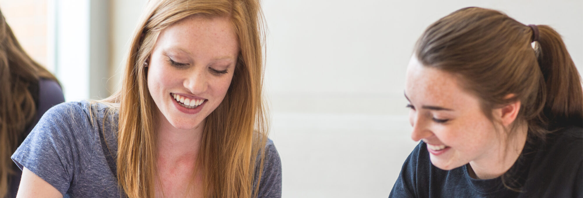 Clarke University Bachelors of Social Work Students have plenty of internship opportunities