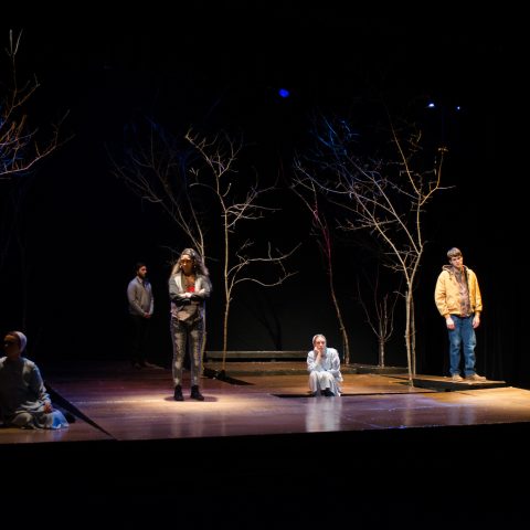 Drama Production Amish Project