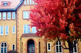 Campus in fall