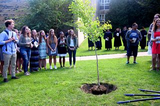 Convocation tree planting