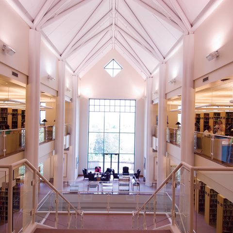 Library Interior