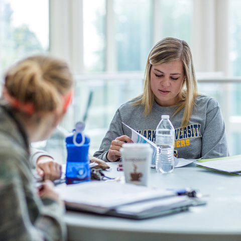 Sociology Degree students studying at Clarke University